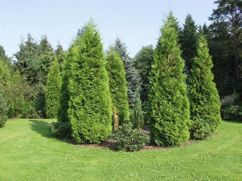 Ferienpark Leitzingen Hotel Soltau Kültér fotó