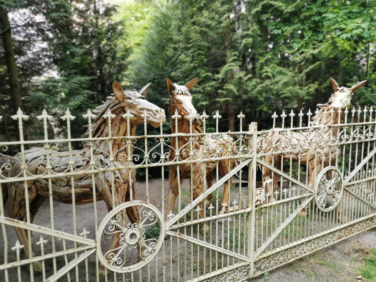 Ferienpark Leitzingen Soltau Kültér fotó